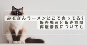 みそきんラーメン当たり蓋招き猫きんの確率は?何が貰えるのかまとめ